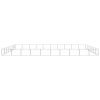 Dog Kennel Silver 753.5 ft² Steel